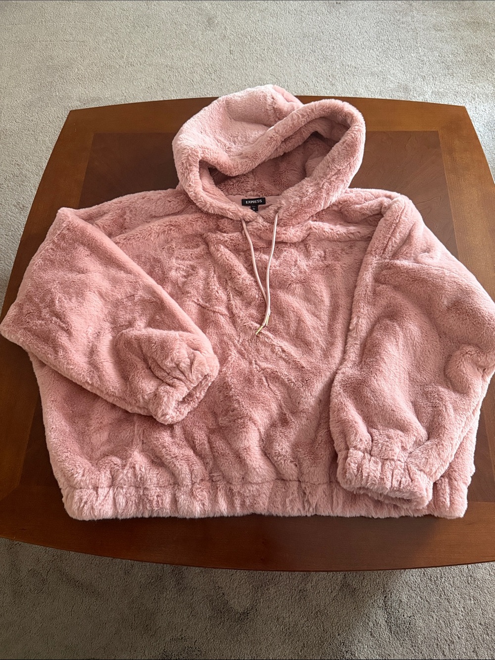 Express Dusty Pink Plush Hooded Pullover